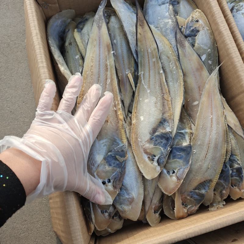 龙利鱼塔米鱼腌制咸鱼产地直发供应市场电商商超