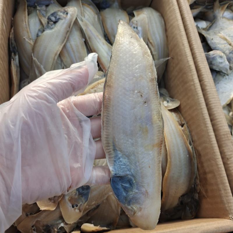 龙利鱼塔米鱼腌制咸鱼产地直发供应市场电商商超
