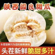 陕西阎良头茬小籽甜瓜香甜多汁现摘现发2/5/1斤新鲜水果