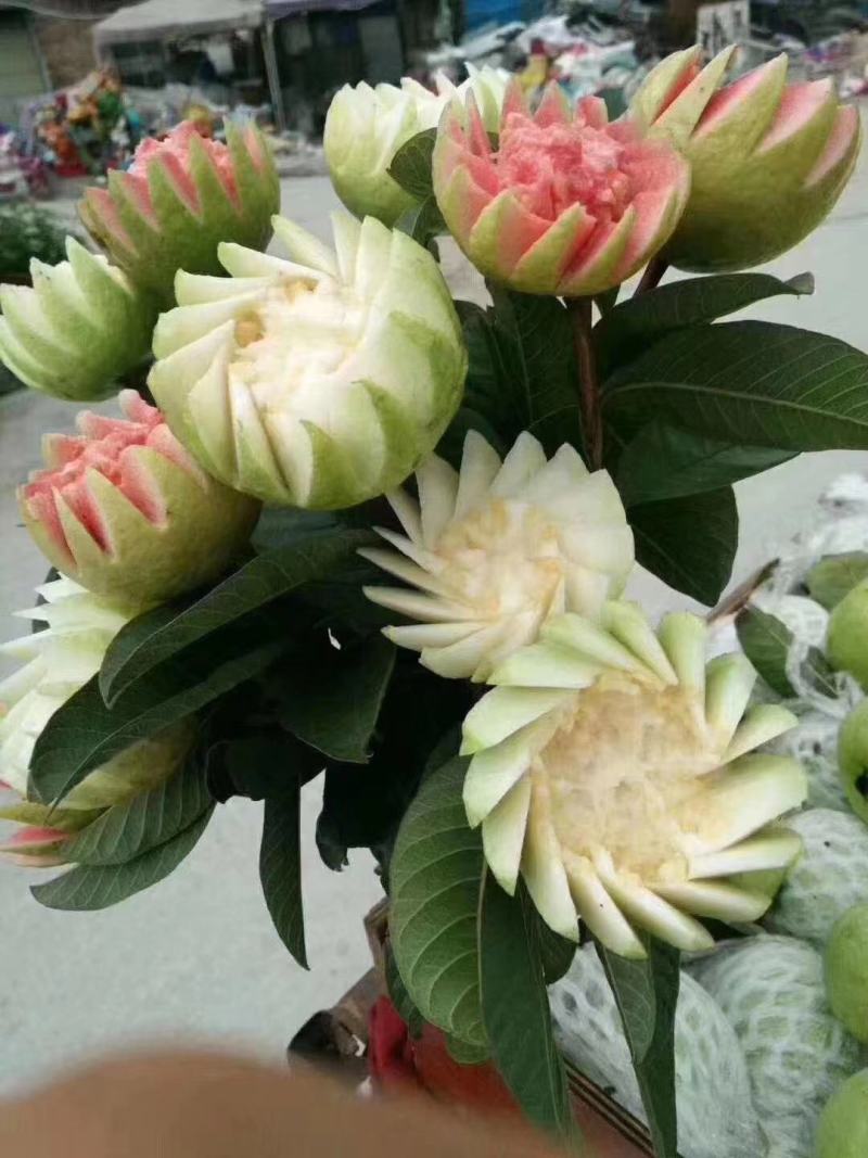 福建平和芭乐个头大颜色漂亮乐扣特别好