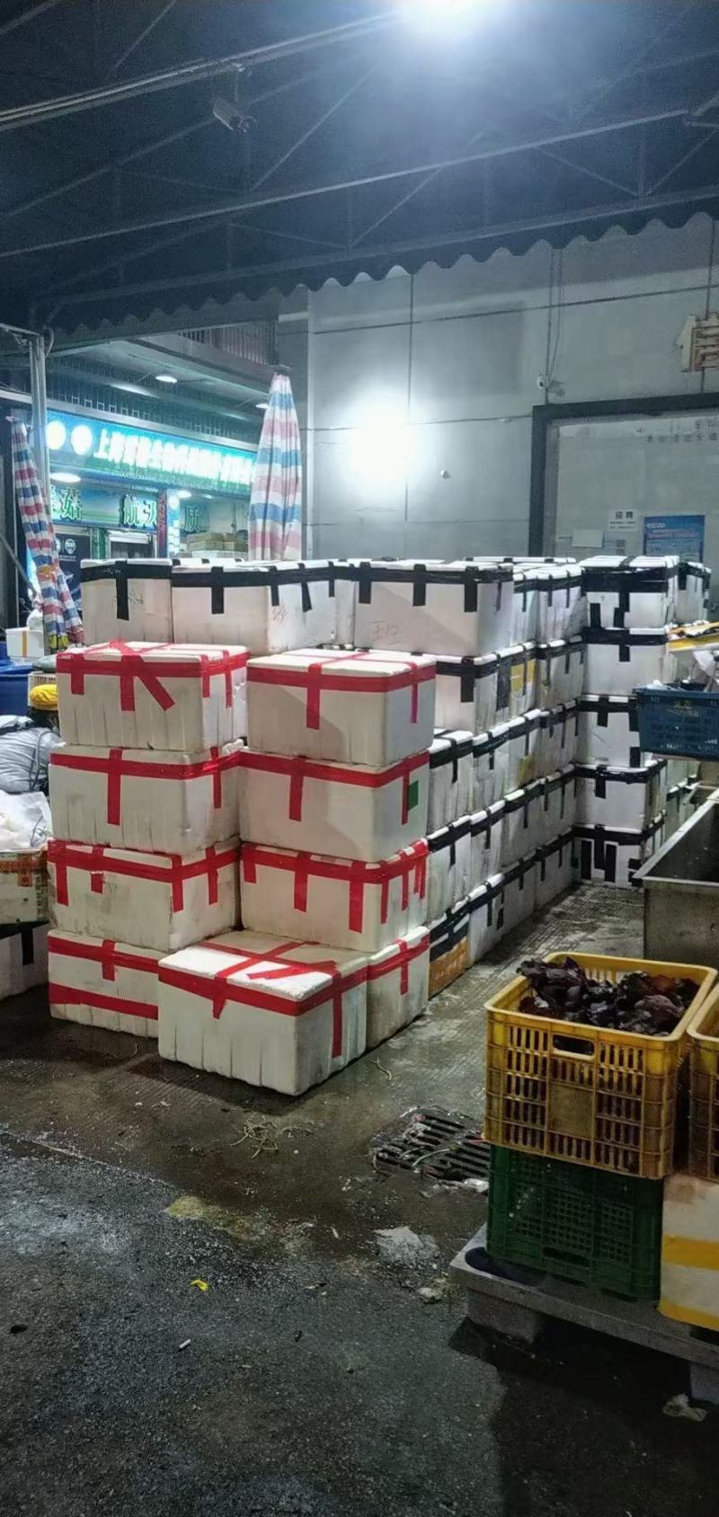 长期供应佛手瓜长、短苗…有需要的老板门可以要