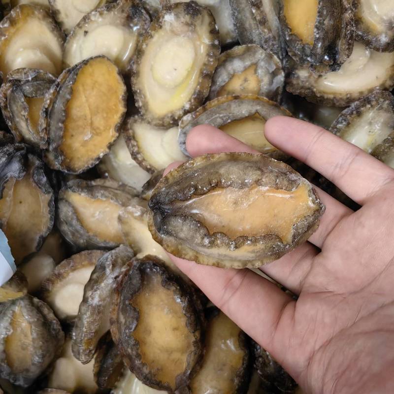 鲍鱼肉【鲍鱼工厂】冻鲍鱼鲍鱼净肉全规格活鲍鱼加工