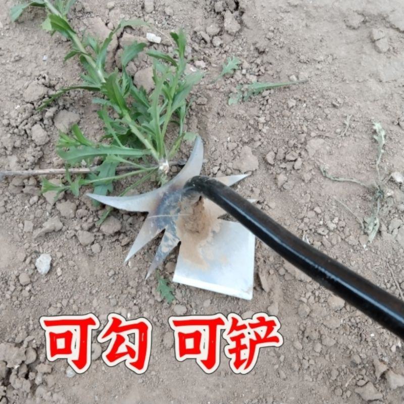 包邮拔草神器园艺小锄头手动除草松土耙子家用手握花盆铲子挖