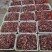 加工厂一手