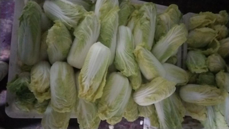 精品娃娃菜，基地新鲜采摘，保质保量发货，欢迎下单咨询