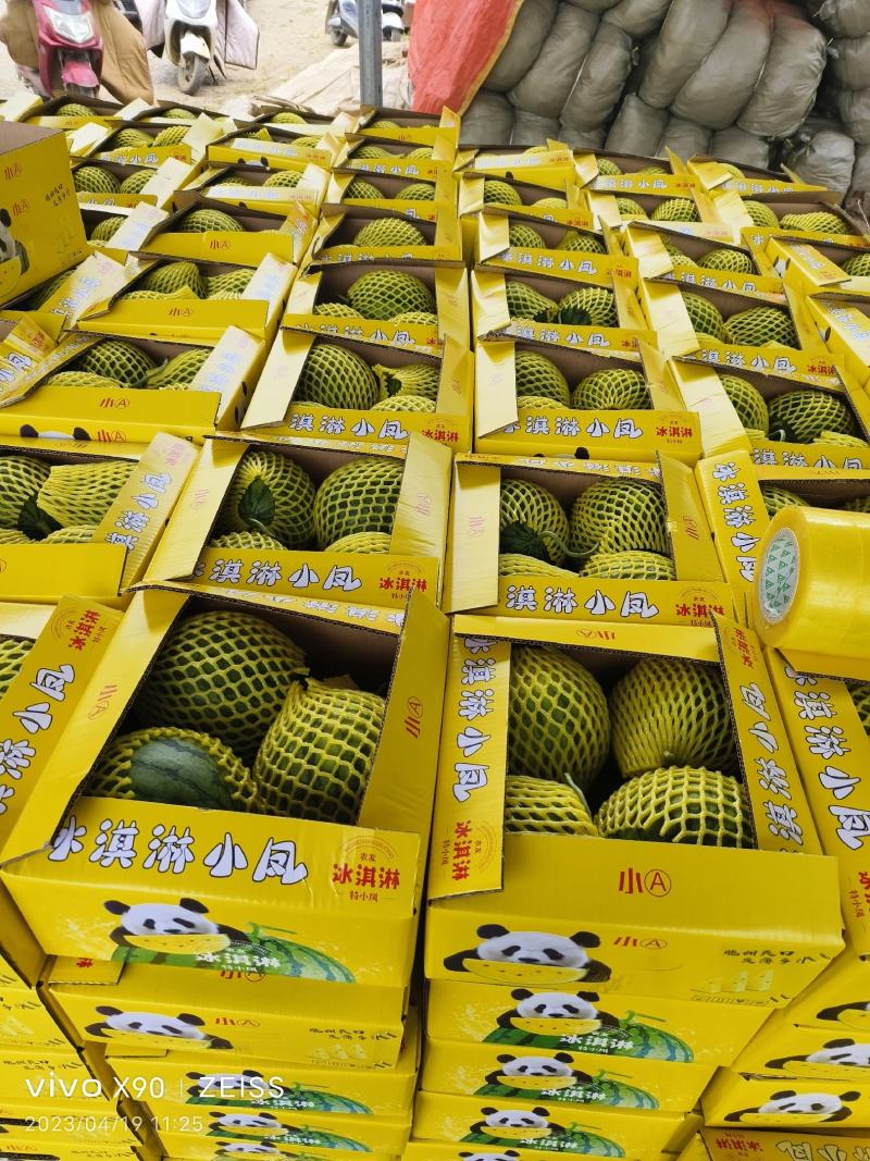 精品特小凤西瓜现货大量上市，江苏直购种植产地欢迎采购