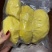 树熟金枕榴莲冷冻榴莲1000g袋装足二斤。