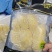 树熟金枕榴莲冷冻榴莲1000g袋装足二斤。