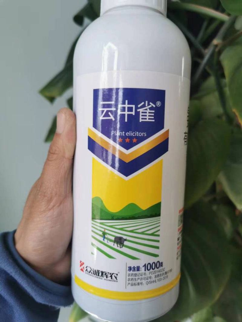 5%氨基寡糖素防制蔬菜由真菌、细菌及病毒引起的多种病害