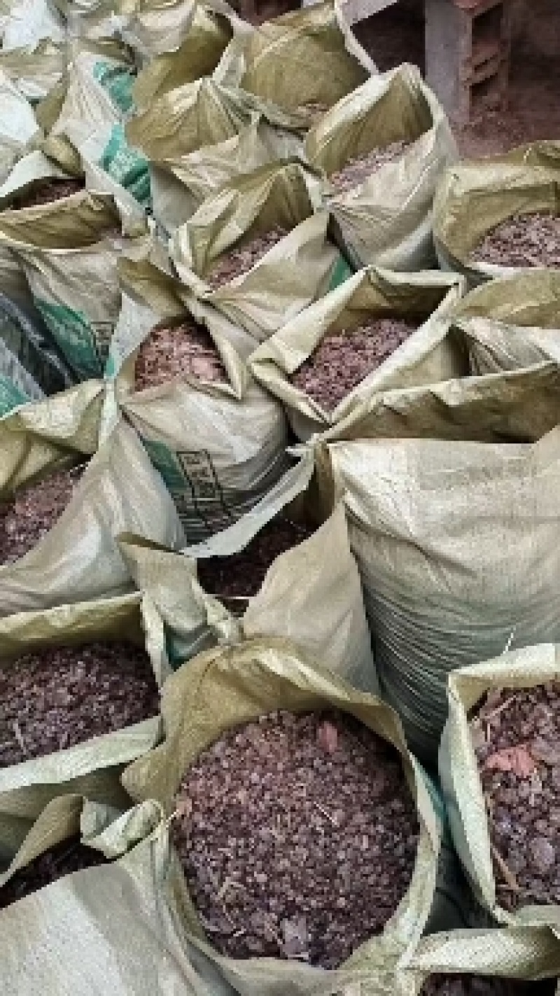 山东省济宁市梁山县黑虎庙镇纯自然发酵纯羊粪蛋大量现货