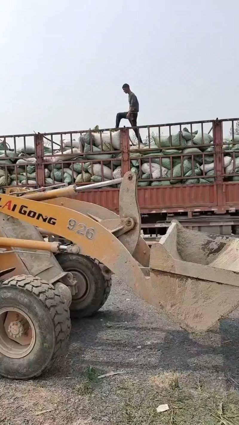 山东省济宁市梁山县黑虎庙镇纯自然发酵纯羊粪蛋大量现货