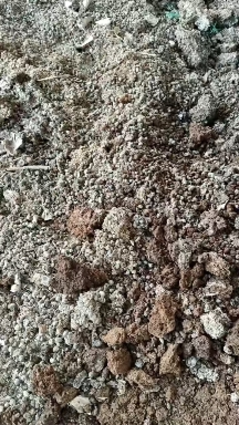 山东省济宁市梁山县黑虎庙镇纯自然发酵纯羊粪蛋大量现货