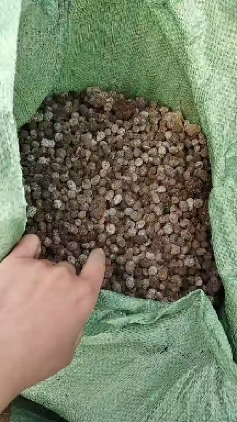 山东省济宁市梁山县黑虎庙镇纯自然发酵纯羊粪蛋大量现货