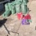 山东省济宁市梁山县黑虎庙镇纯自然发酵纯羊粪蛋大量现货