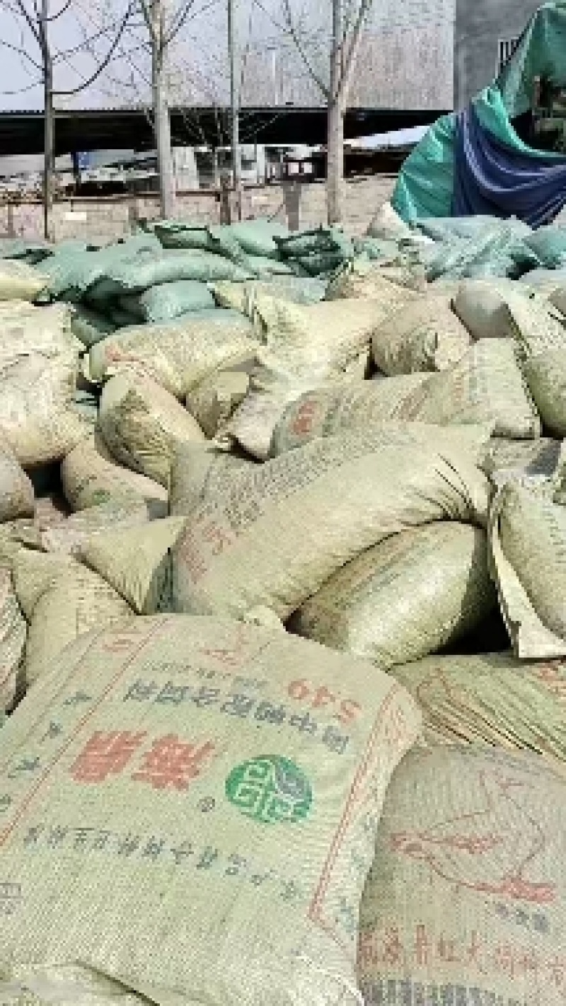 山东省济宁市梁山县黑虎庙镇纯自然发酵纯羊粪蛋大量现货