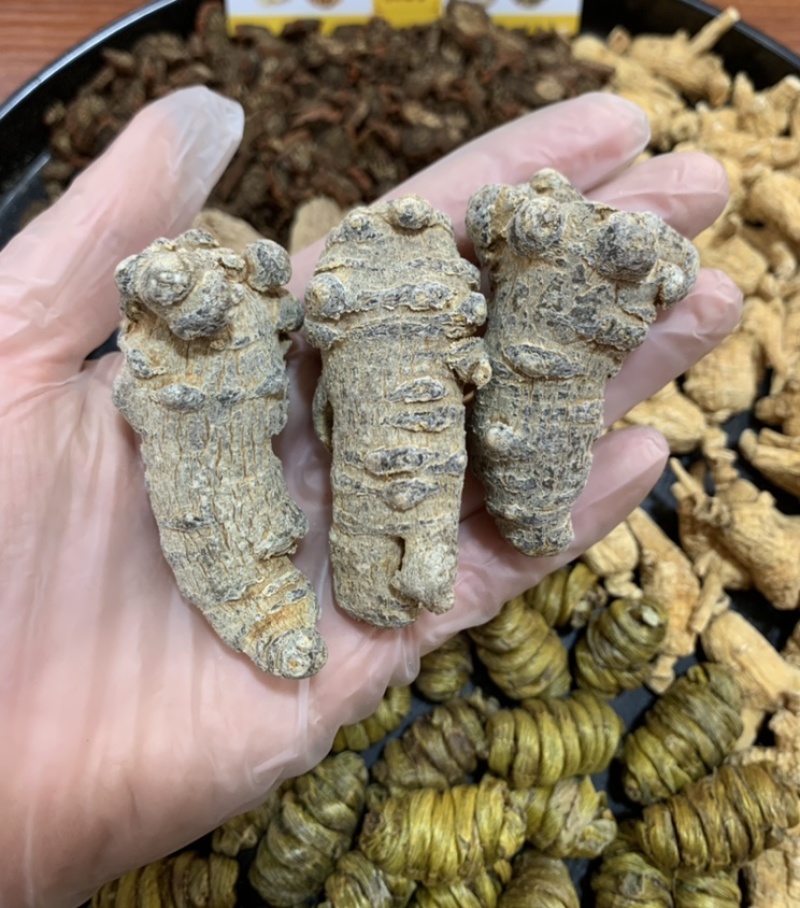 五宝粉云南文山三七铁皮石斛昭通天麻美国花旗紫丹参