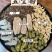 五宝粉云南文山三七铁皮石斛昭通天麻美国花旗紫丹参