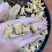 五宝粉云南文山三七铁皮石斛昭通天麻美国花旗紫丹参