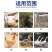 兽用益生菌加酶益生素猪牛羊禽用鸡鸭调节肠道肠胃拉稀饲料添