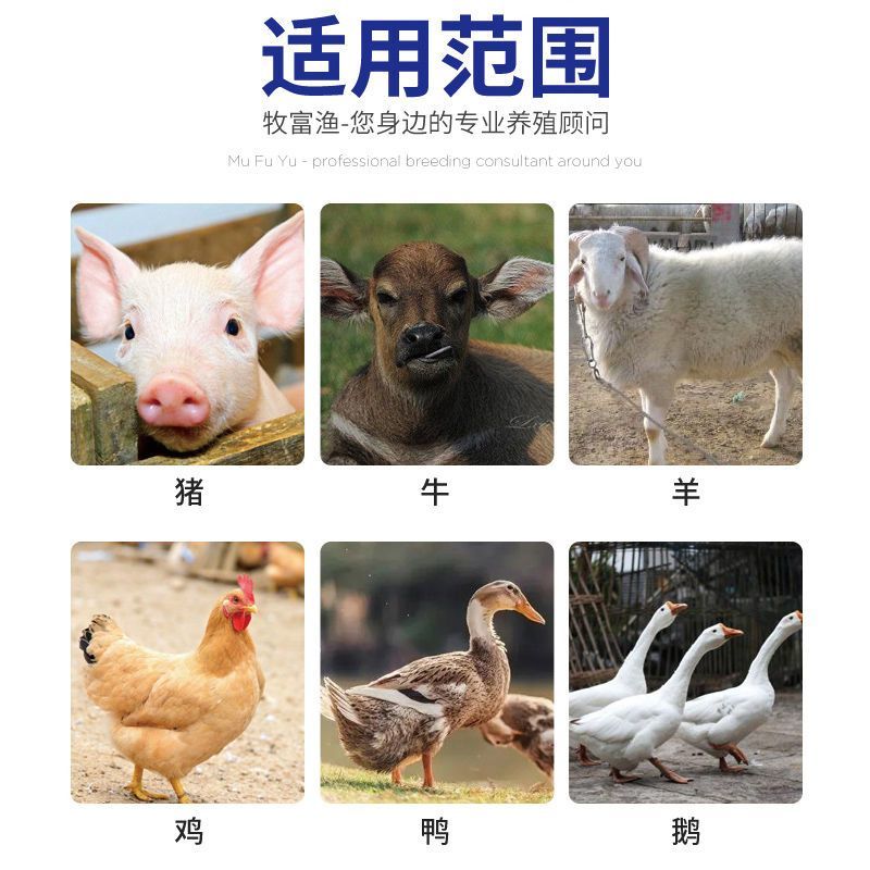 兽用益生菌加酶益生素猪牛羊禽用鸡鸭调节肠道肠胃拉稀饲料添