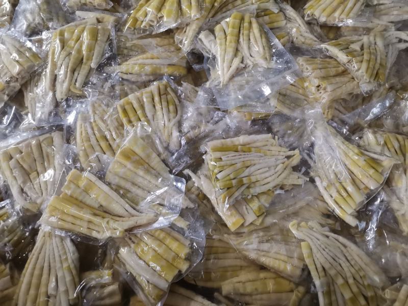 江西黎川高山野生小竹笋大量供货中品质保障量大优惠