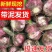 [优选]开封尉氏县紫皮蒜把蒜精品大蒜大量上市