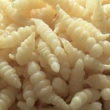 螺丝菜