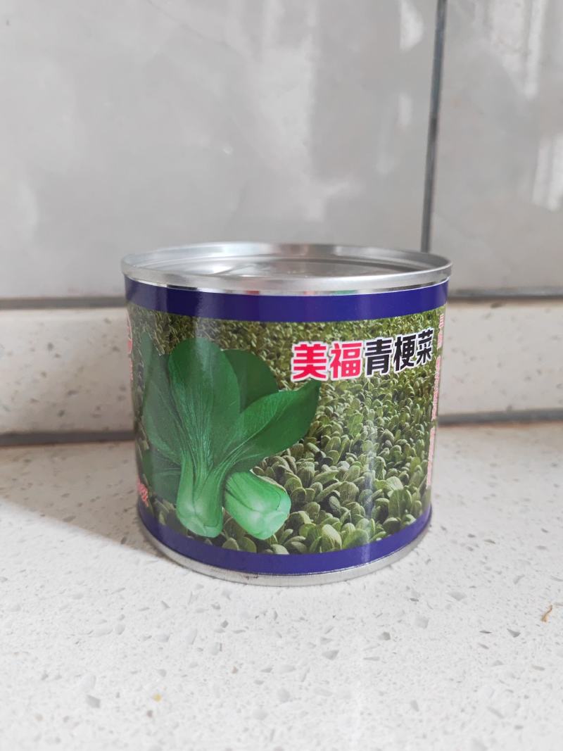 批发【500g】美福青梗菜种子夏悦青梗菜种子耐热种子