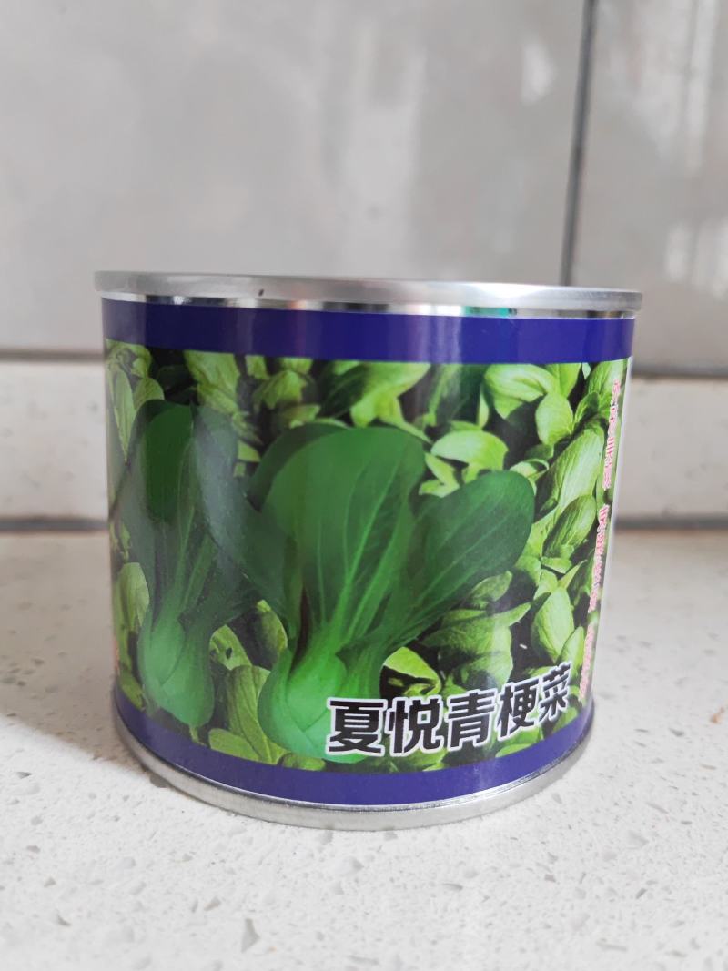 批发【500g】美福青梗菜种子夏悦青梗菜种子耐热种子