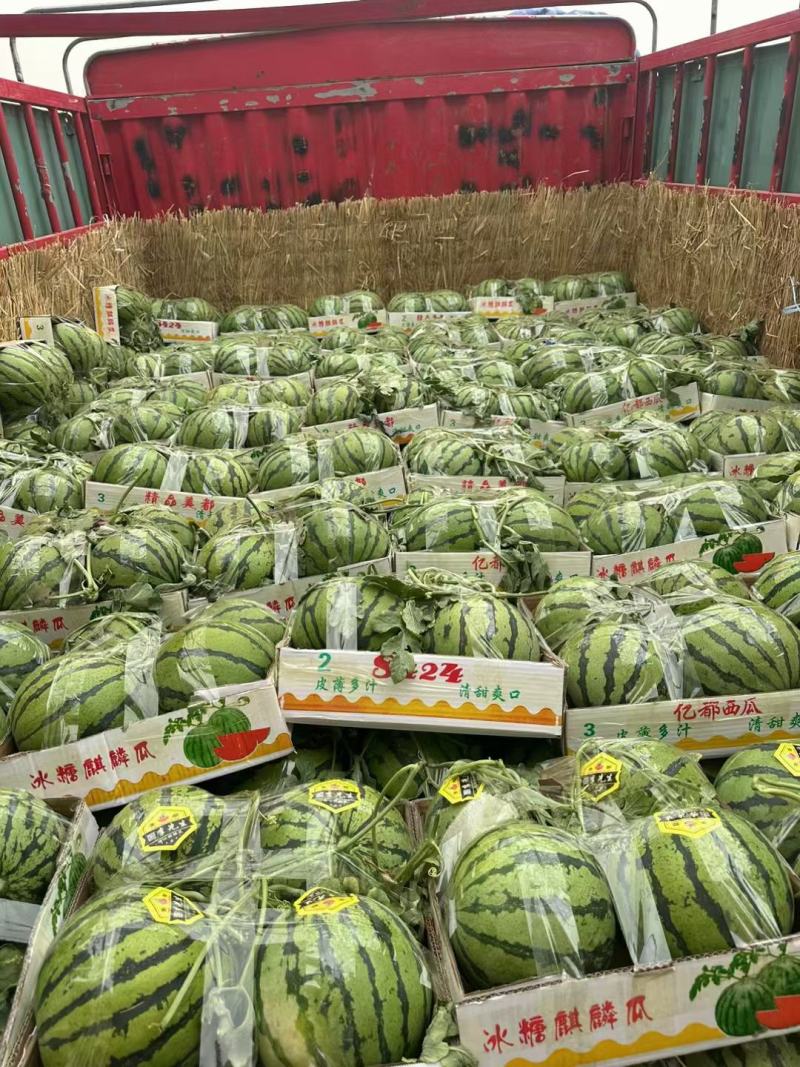 河南开封西瓜美都西瓜质量保证代收代发承接商超电商供货