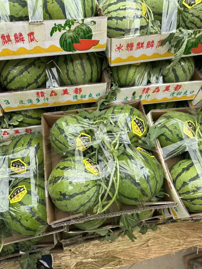 河南开封西瓜美都西瓜质量保证代收代发承接商超电商供货