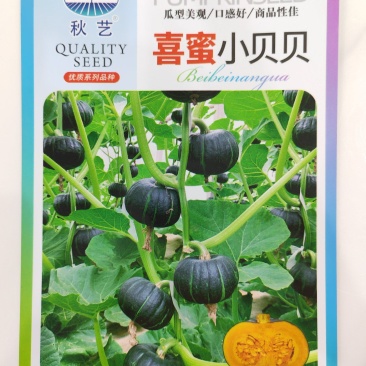 【批发】喜蜜贝贝南瓜种子黑贝贝南瓜种子黄贝贝南瓜种子