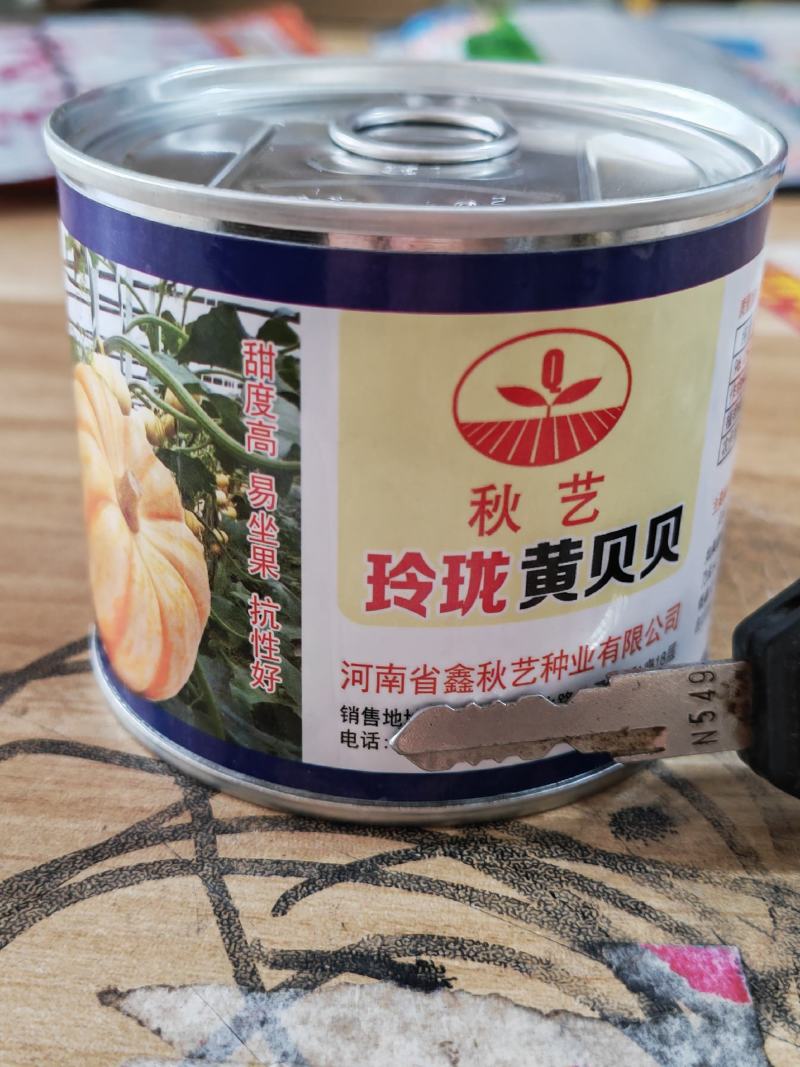 【批发】喜蜜贝贝南瓜种子黑贝贝南瓜种子黄贝贝南瓜种子