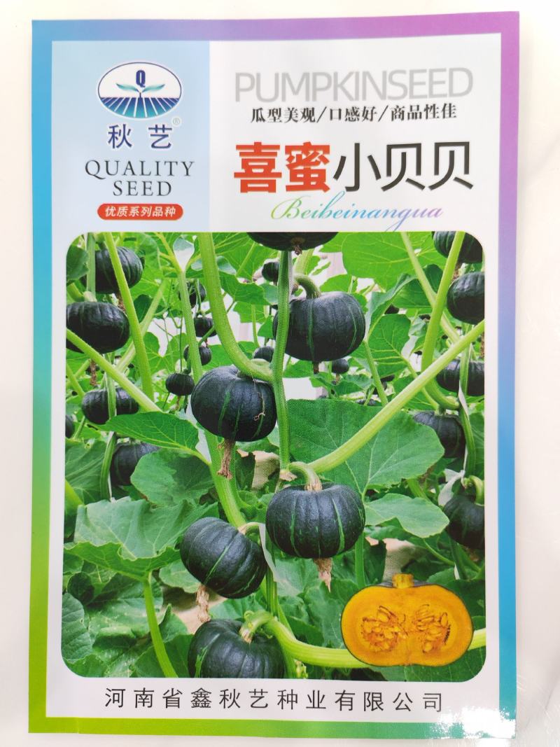 【批发】喜蜜贝贝南瓜种子黑贝贝南瓜种子黄贝贝南瓜种子