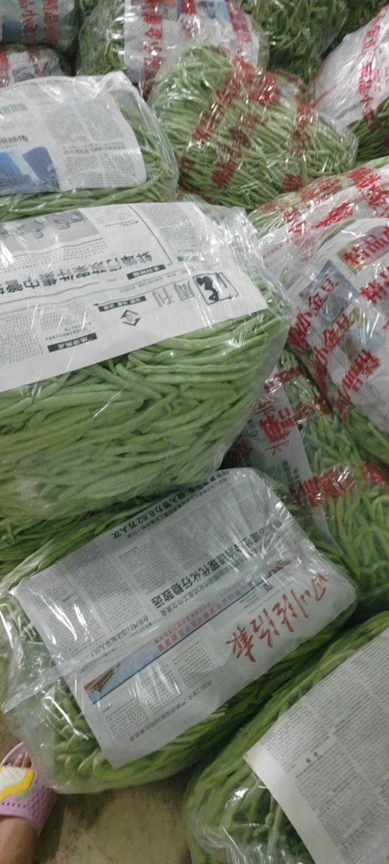 小金豆