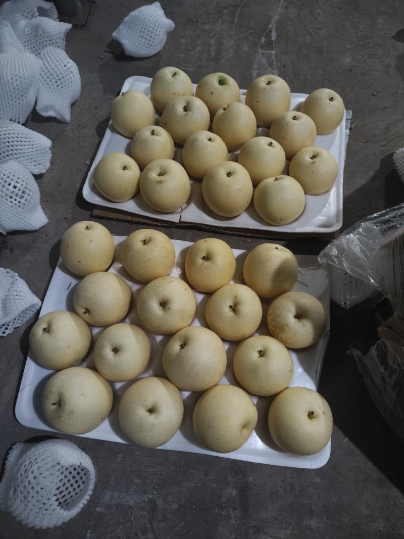 沃吉鲜精品过手三层皇冠梨