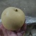 沃吉鲜精品过手三层皇冠梨