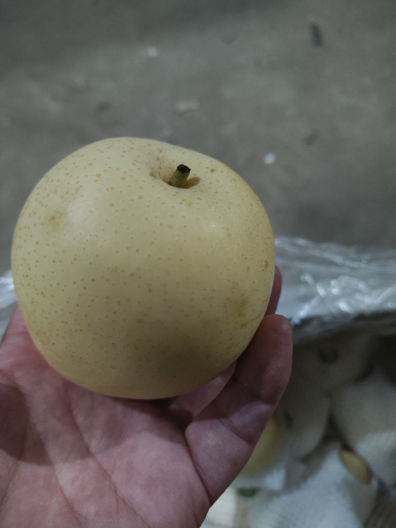 沃吉鲜精品过手三层皇冠梨