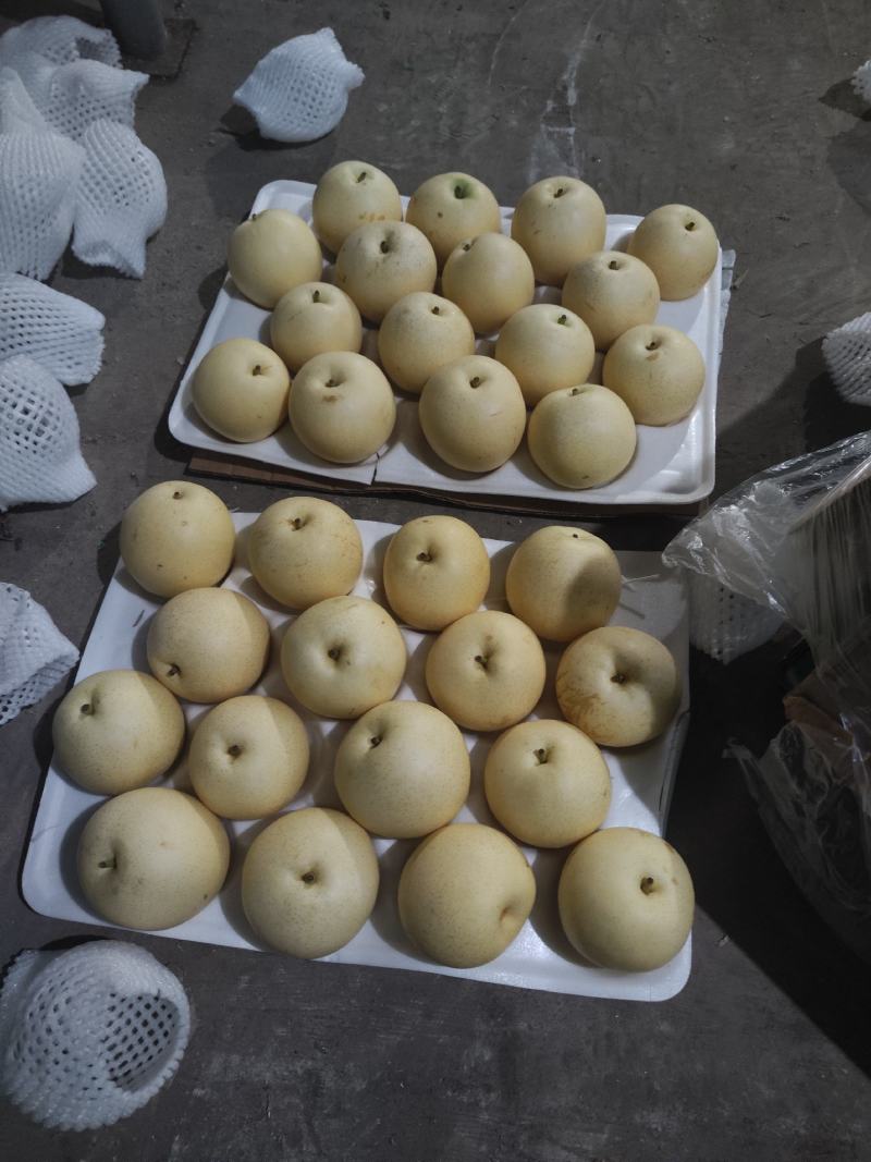 沃吉鲜精品过手三层皇冠梨