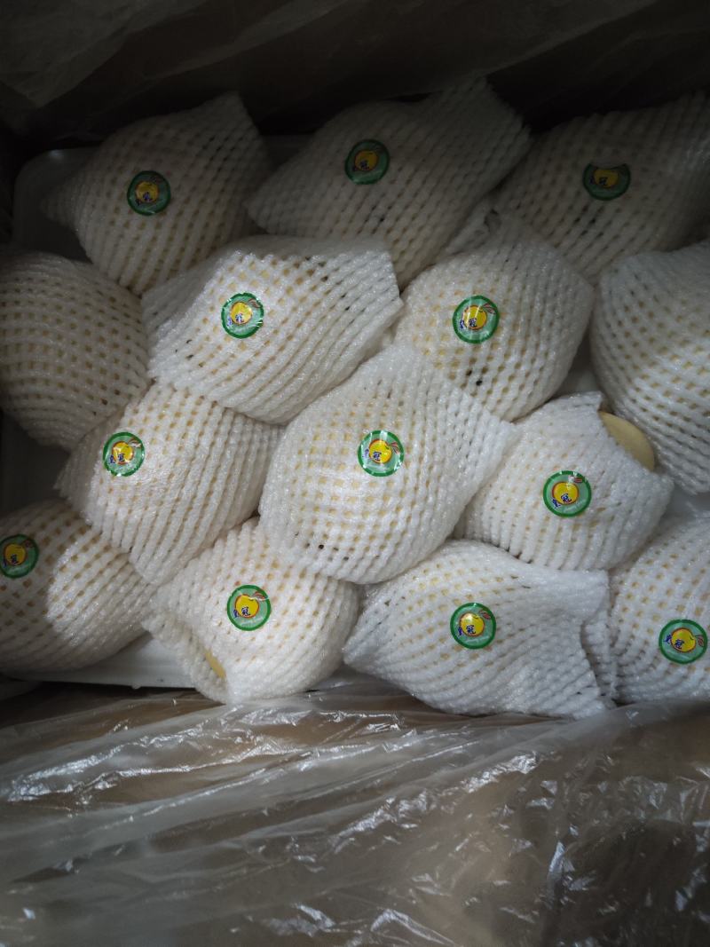 沃吉鲜精品过手三层皇冠梨