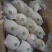 沃吉鲜精品过手三层皇冠梨
