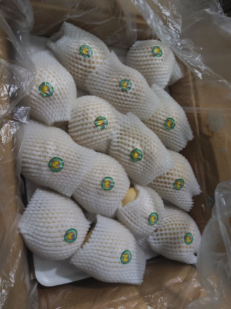 沃吉鲜精品过手三层皇冠梨