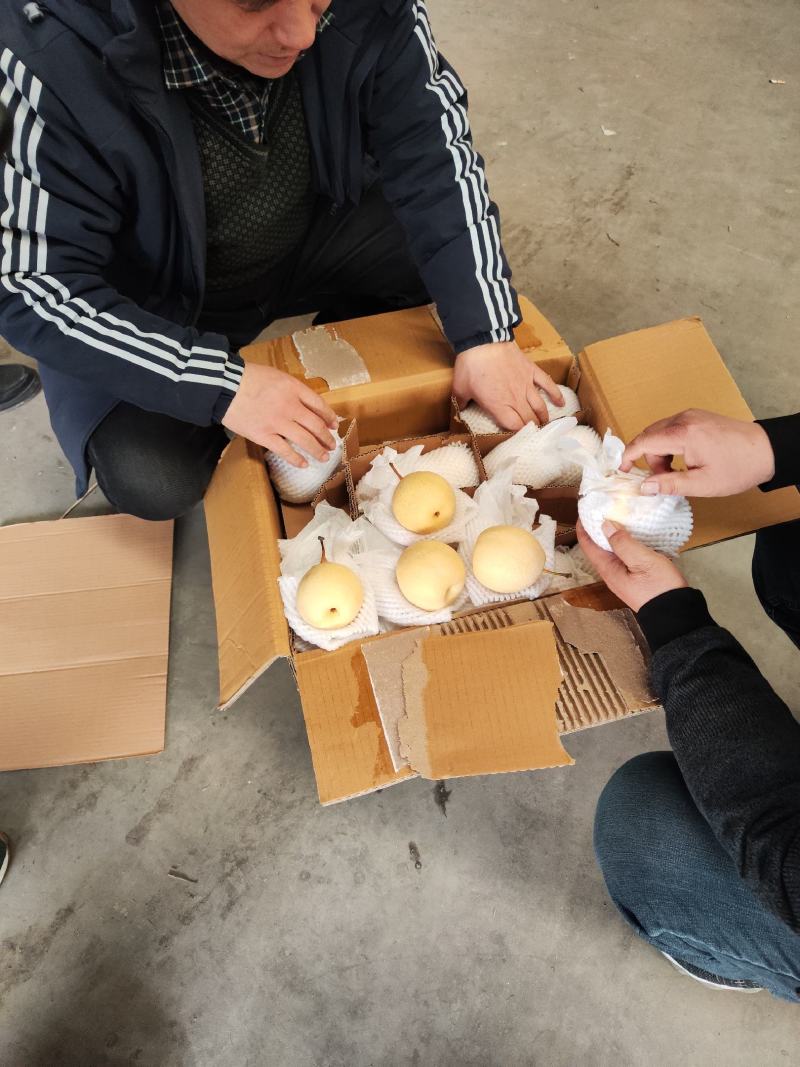沃吉鲜精品过手三层皇冠梨