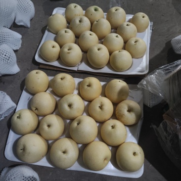 沃吉鲜精品过手三层皇冠梨