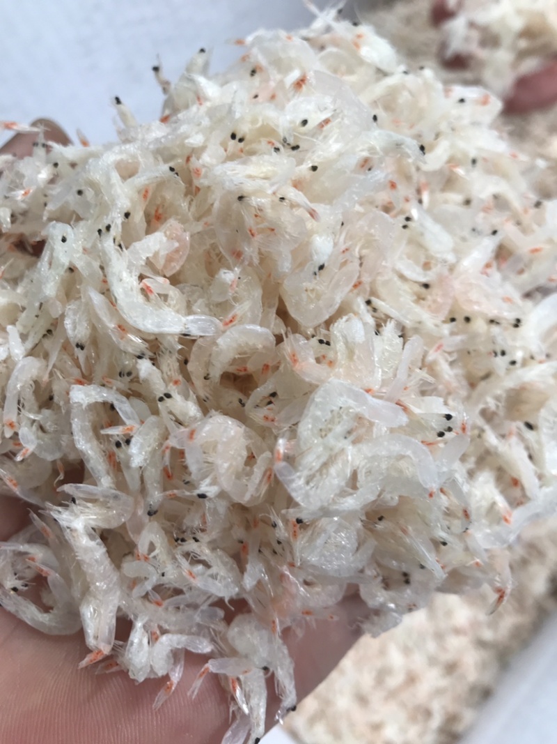 虾皮虾干淡干海虾皮9成5干有量批发