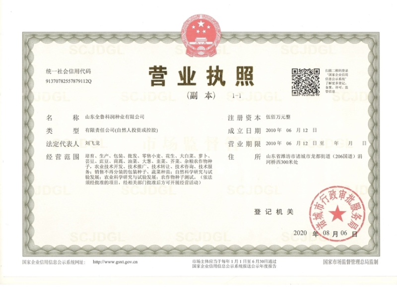 白菜苔种子晶艳苔菜菜苔种子全国发货品质好