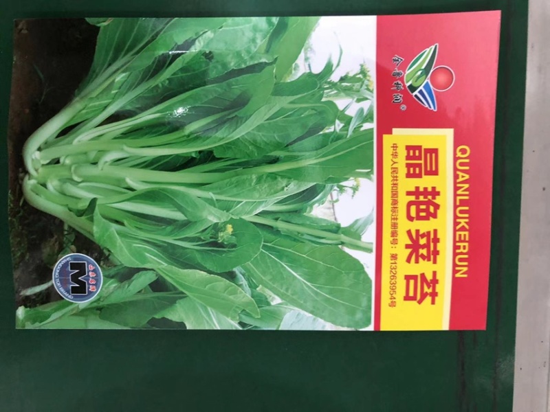 白菜苔种子晶艳苔菜菜苔种子全国发货品质好