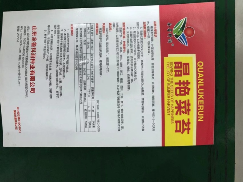 白菜苔种子晶艳苔菜菜苔种子全国发货品质好