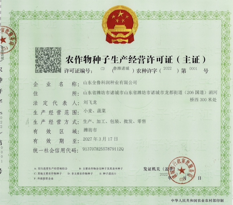 白菜苔种子晶艳苔菜菜苔种子全国发货品质好