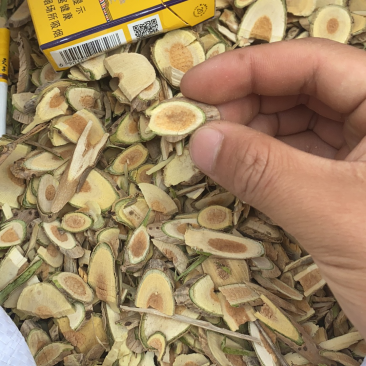 江苏新货正品接骨木高含量包鉴测也叫接骨丹公老道